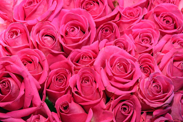 Background of bouquets of flowers. Roses. Design. Close up.