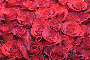 Background of bouquets of flowers. Roses. Design. Close up.