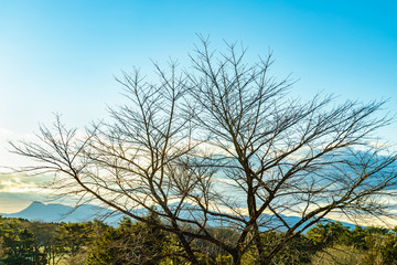 美しい朝焼けの空と雲