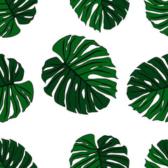 Seamless pattern with the leaves of the monstera . Tropical print on white background. Stock vector illustration.