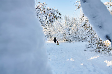 Mom rides a girl on a sled in winter park with snow covered trees.