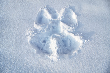 Snow angel in the fresh snow. Trace from the child’s body