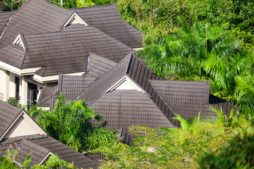 The roof of the house in the rainforest