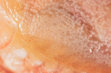 Fototapeta premium Red shell of shrimp as a background
