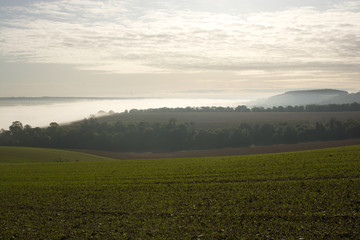 Fototapeta na wymiar Misty countryside at Arundel, Sussex, England