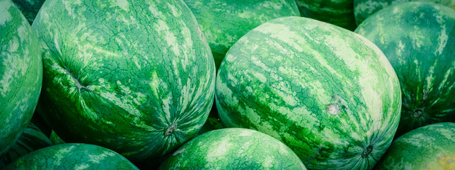 Fototapeta na wymiar Panoramic background bunch of raw whole watermelons at farmer market in America