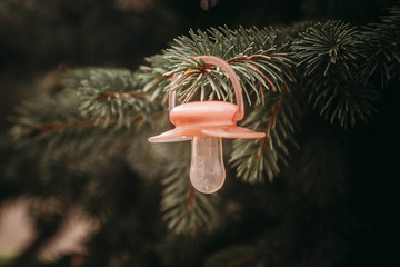 Baby pink pacifier hanging on the branch of the Christmas tree . Christmas tree decoration.