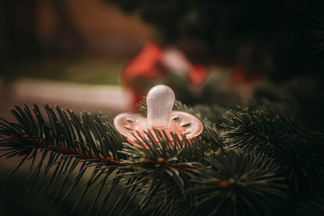 The pacifier lies on the branches of the Christmas tree. The birth of a child on new year. Background. Copy space.