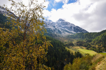チロルの渓谷　秋の黄葉のエッツタール　フェント付近（オーストリア・チロル）