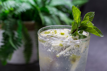 lemonade cocktail mint mojito