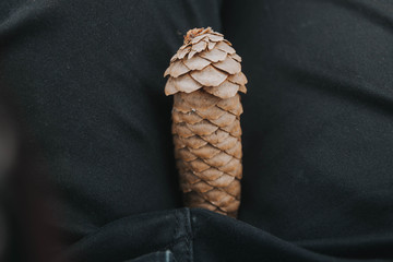 The male penis in the form of a lump. Symbol of men.