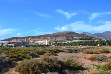 Obraz premium Hotels in Morro Jable seen from the Matorral beach/ or Jandia Playa. Beautiful dunes and hotel resort view. Morro Jable, Fuerteventura, Canary Islands, Spain
