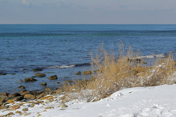 a bright Sunny day yellow dry grass in a blue of sea and sky