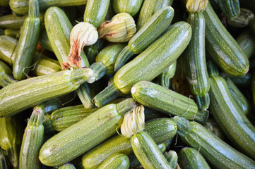Vegetables, specifically green zucchini on the pile at berber food market