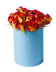 Red and yellow roses in a hat box isolated on white background