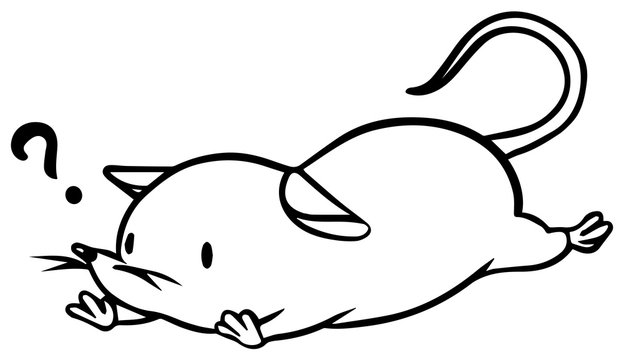 実験動物 Images Browse 253 Stock Photos Vectors And Video Adobe Stock