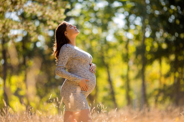 young pregnant brunette woman in grey knitted dress, pregnant girl in spring on a walk, maternity concept