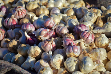 Vegetables, specifically a lot of garlic on the pile at berber food market