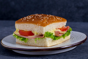 healthy sandwich ham