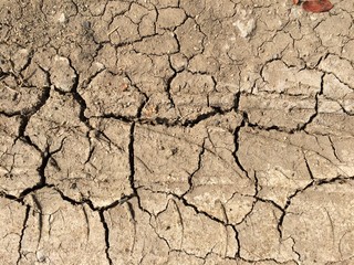 Fototapeta premium Background of dry ground destruction of natural resources