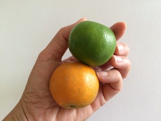 Orange and green lemons in the hands on a white background