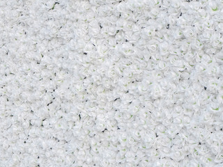 White roses, seamless patterns, horizontal arrangement