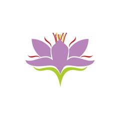 Saffron logo , flower of saffron with white background