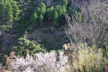 tour d'un château du moyen âge dans la verdure