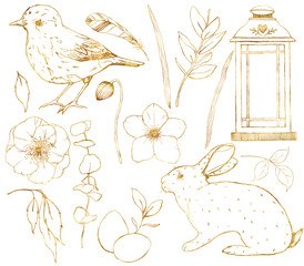 Watercolor golden set with flowers and lantern. Hand painted line art anemone, rabbit, bird and leaves isolated on white background. Botanical spring illustration for design, print or background.