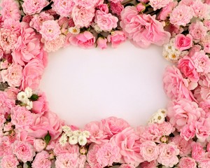 Frame with delicate pink roses on white  background