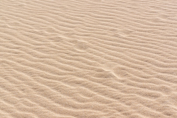 Wrinkled dune texture close up