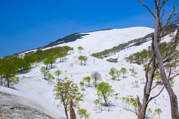 月山スキー場　春