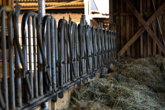 Schwedengitter am Futtertisch f&uuml;r Mutterk&uuml;he