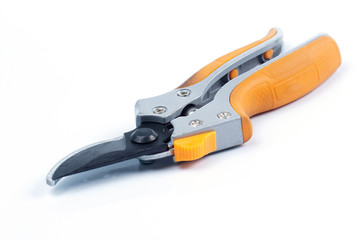 Orange  branch scissor