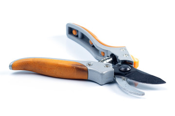 Orange  branch scissor