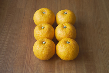 ジャバラ（和歌山県原産の柑橘）強烈な酸味と苦味がある。