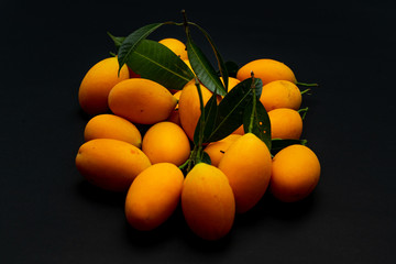 Marian Plum Giant on black background