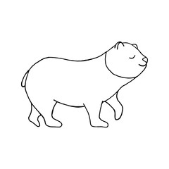 Cute bear design element. Сoncept nature, wildlife. Hand drawn vector illustration in doodle style outline drawing isolated on white background.