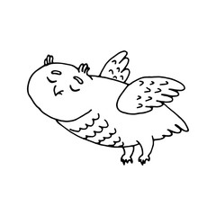 Cute owl, forest bird design element. Сoncept nature, wildlife. Hand drawn vector illustration in doodle style outline drawing isolated on white background.