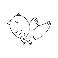 Cute flying forest bird design element. Сoncept nature, wildlife. Hand drawn vector illustration in doodle style outline drawing isolated on white background.