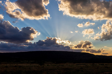 Obraz premium African Savanna Landscape, Natural Park