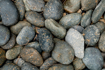 Top view of river scree or Pebble stone with dry pine leaves for background and textured.