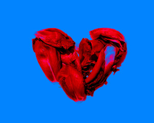 heart of the red petals isolated on blue