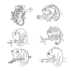 set of  funny cute phlegmatic chameleons on a branch with leaves, emotion, indifference, calm, vector illustration with black contour lines isolated on white background in hand drawn style