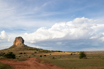 African Savanna Landscape, Natural Park