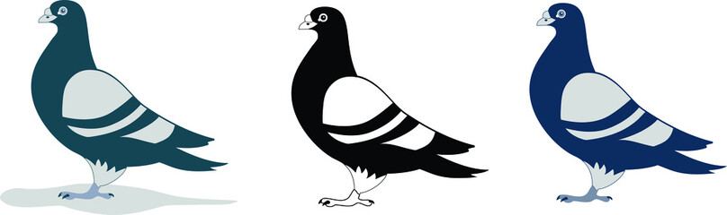 Pigeon icon, vector line illustration