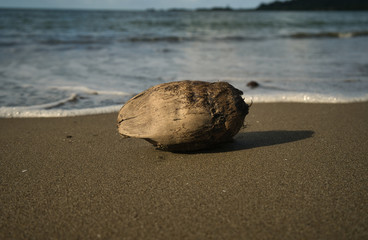 Eine gestrandete Kokosnuss am einsamen Strand von Panama auf der Karibikseite mit Fokus auf den Vordergrund und das Meer im Hintergrund.