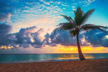 Palm and tropical beach in Punta Cana, Dominican Republic - obrazy, fototapety, plakaty