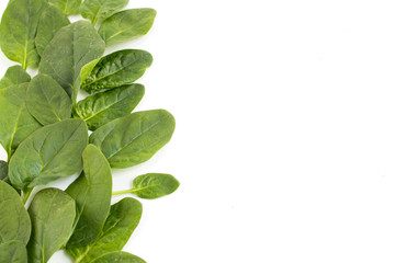 bunch of spinach leaves on a white background.place for text