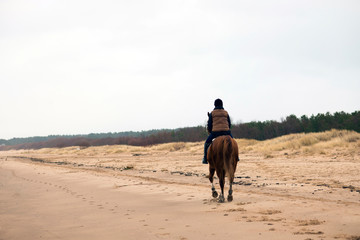 A man rides a horse along the sea coast © julijacernjaka